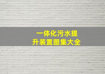 一体化污水提升装置图集大全