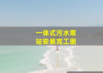 一体式污水泵站安装完工图