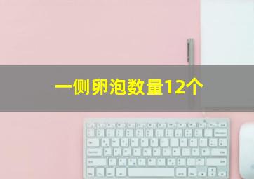 一侧卵泡数量12个