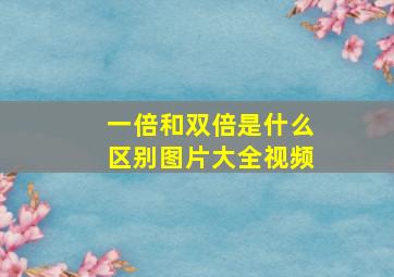 一倍和双倍是什么区别图片大全视频