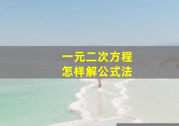 一元二次方程怎样解公式法