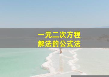 一元二次方程解法的公式法