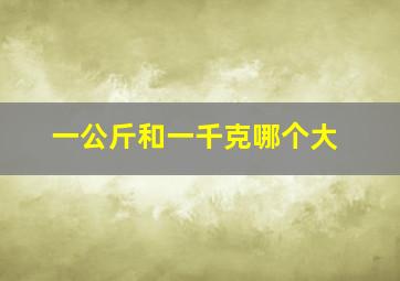 一公斤和一千克哪个大