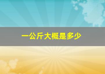 一公斤大概是多少