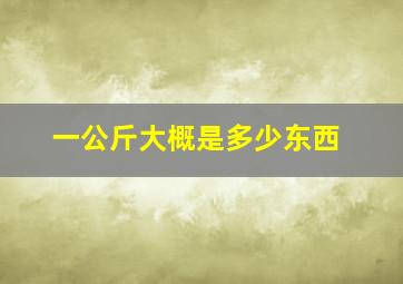 一公斤大概是多少东西