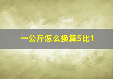 一公斤怎么换算5比1