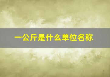 一公斤是什么单位名称