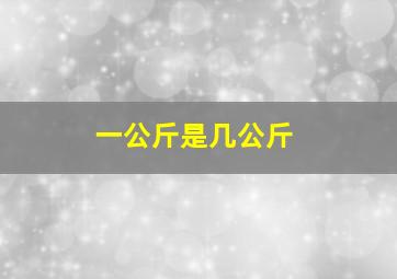 一公斤是几公斤