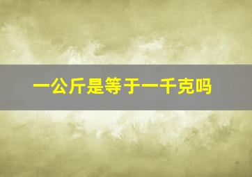 一公斤是等于一千克吗