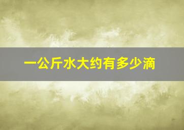 一公斤水大约有多少滴