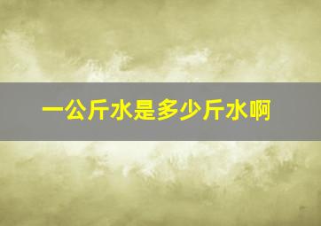 一公斤水是多少斤水啊