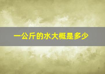 一公斤的水大概是多少