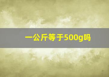 一公斤等于500g吗