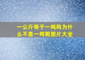 一公斤等于一吨吗为什么不是一吨呢图片大全