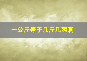 一公斤等于几斤几两啊