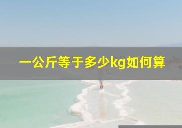 一公斤等于多少kg如何算