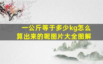 一公斤等于多少kg怎么算出来的呢图片大全图解