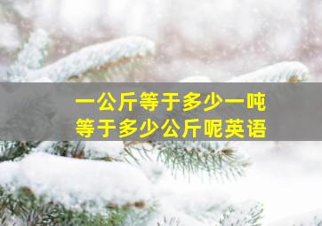 一公斤等于多少一吨等于多少公斤呢英语