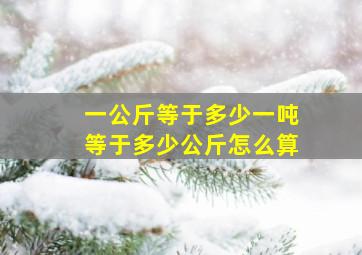 一公斤等于多少一吨等于多少公斤怎么算