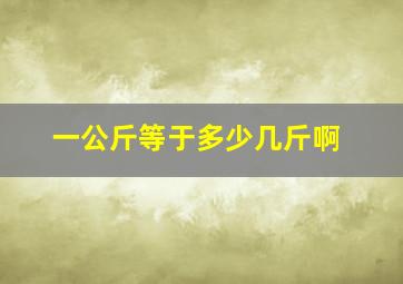 一公斤等于多少几斤啊