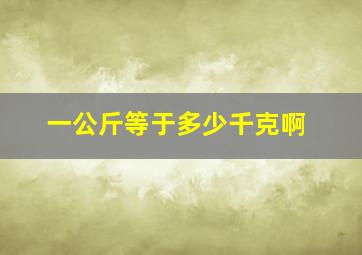 一公斤等于多少千克啊