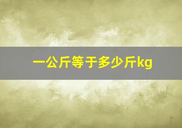 一公斤等于多少斤kg