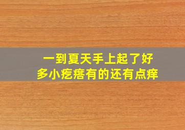 一到夏天手上起了好多小疙瘩有的还有点痒