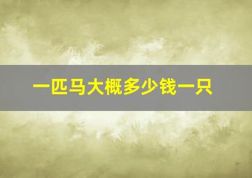 一匹马大概多少钱一只