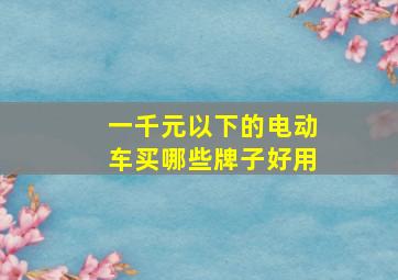 一千元以下的电动车买哪些牌子好用