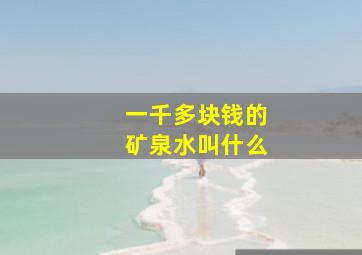 一千多块钱的矿泉水叫什么