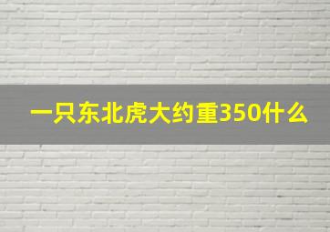 一只东北虎大约重350什么