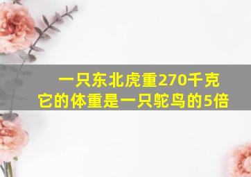 一只东北虎重270千克它的体重是一只鸵鸟的5倍