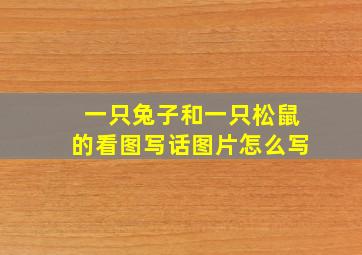 一只兔子和一只松鼠的看图写话图片怎么写