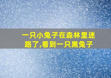 一只小兔子在森林里迷路了,看到一只黑兔子