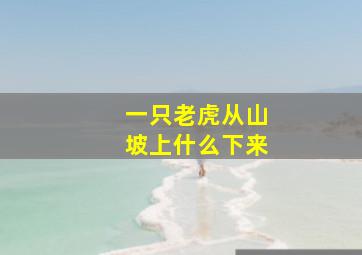 一只老虎从山坡上什么下来