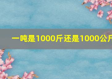 一吨是1000斤还是1000公斤