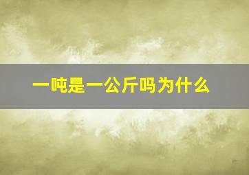 一吨是一公斤吗为什么