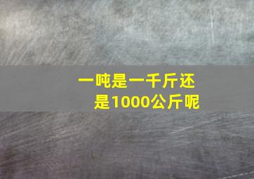 一吨是一千斤还是1000公斤呢