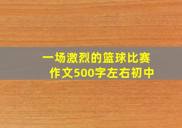 一场激烈的篮球比赛作文500字左右初中