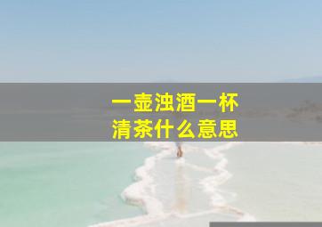 一壶浊酒一杯清茶什么意思