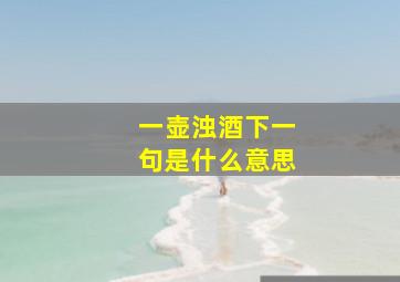 一壶浊酒下一句是什么意思