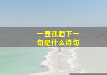 一壶浊酒下一句是什么诗句