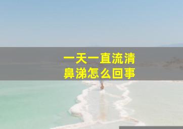 一天一直流清鼻涕怎么回事