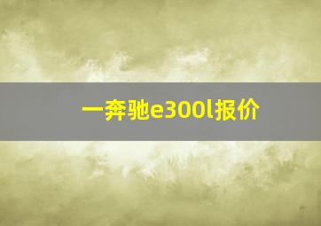 一奔驰e300l报价