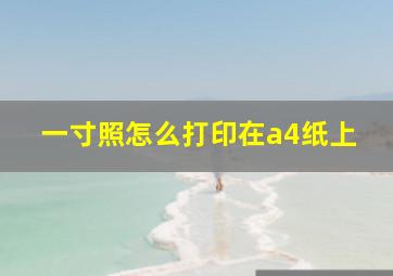 一寸照怎么打印在a4纸上