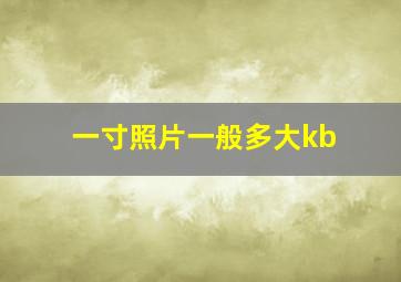 一寸照片一般多大kb