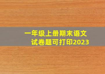 一年级上册期末语文试卷题可打印2023