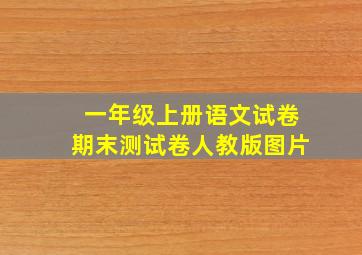 一年级上册语文试卷期末测试卷人教版图片