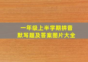 一年级上半学期拼音默写题及答案图片大全