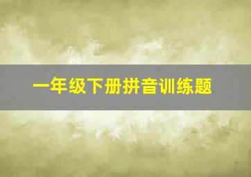 一年级下册拼音训练题